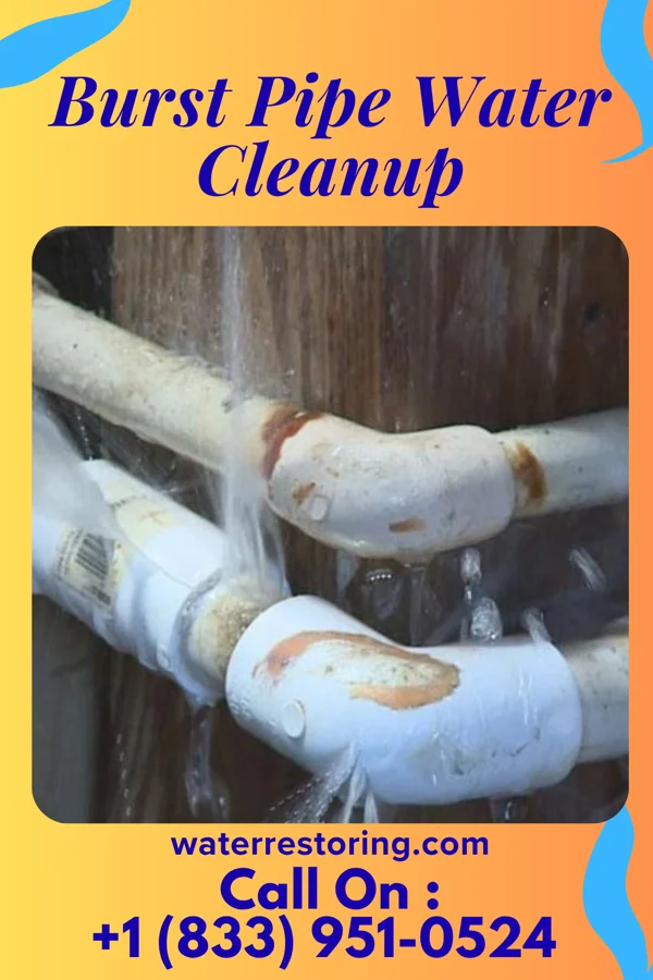 Burst Pipe Water Cleanup in Slaughter, LA